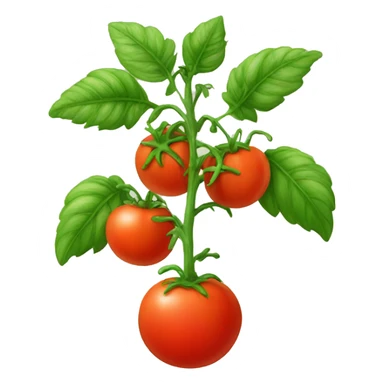 tomato plant sticker