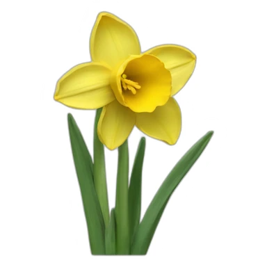 daffodill sticker