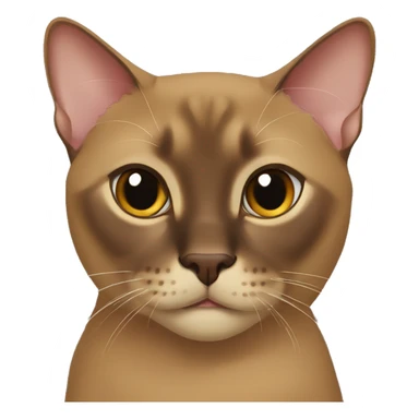 brown Burmese cat (portrait, iOS 17 style, happy) sticker