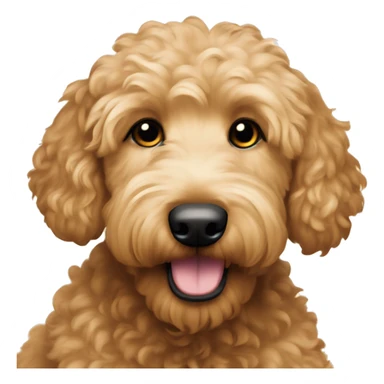 Goldendoodle named Jupiter sticker