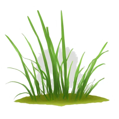 	Flatspike sedge sticker