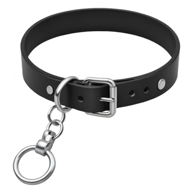 Collar – black leather with silver O-ring. sticker