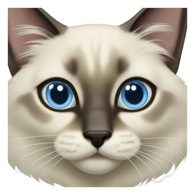 Balinese cat with light blue eyes, medium length fur, and dark face and ears sticker