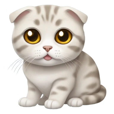 Scottish fold cat sticker