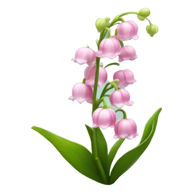  pink lily of the valley sticker