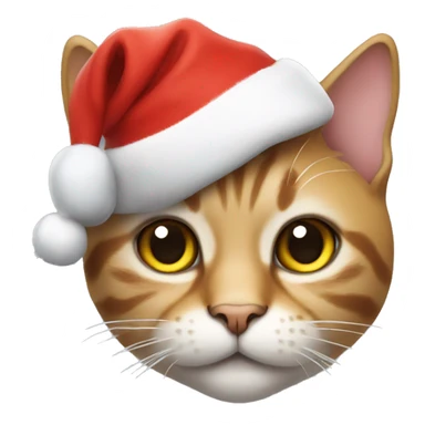 a cat with a christmas hat sticker