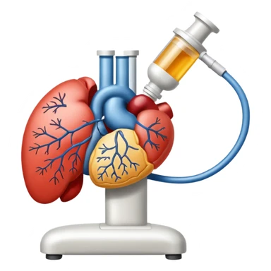 physiology medicine sticker