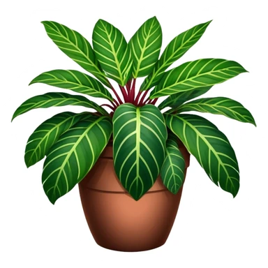 dark green Maranta leuconeura in a pot sticker