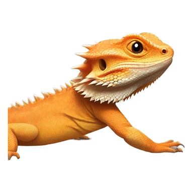 orange bearded dragon sticker