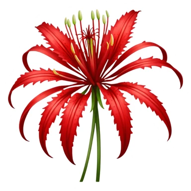 wilting red spider lily  sticker