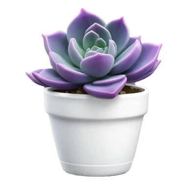 Purple echeveria succulent in white pot sticker