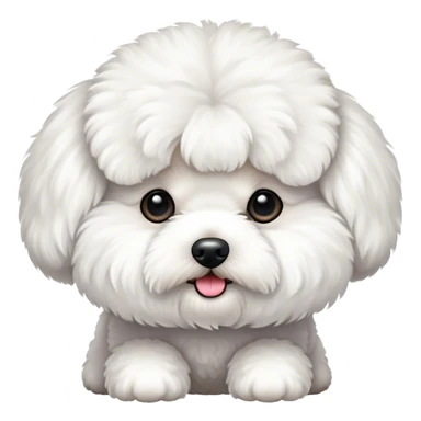 Bichon frise sticker