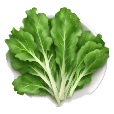 arugula salad sticker