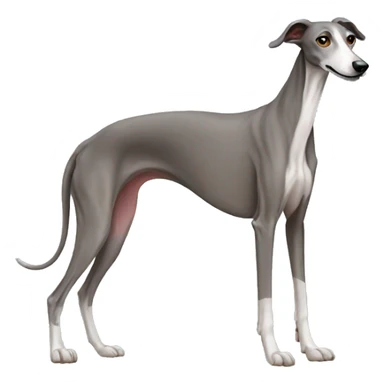 galgo sticker