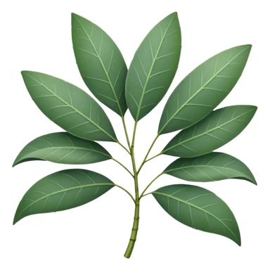 Eucalyptus sticker