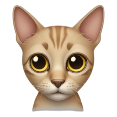 Cat with large eyes sticker