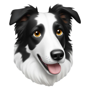 A white with black spots merel border collie with one blue eye and one brown eye ears sticking up  sticker