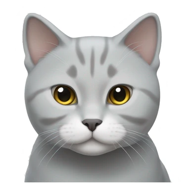 Light grey and white British shorthair cat sticker