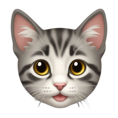 Chaton sticker
