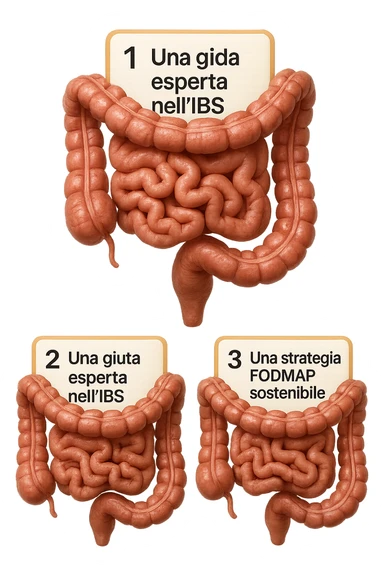 emoji stile iphone di 3 targhette numerate con intestino realistico davanti ad ogni targhetta, le targhette sono:
"1 – Un piano chiaro e strutturato
2 – Una guida esperta nell’IBS
3 – Una strategia FODMAP sostenibile"
, iperrealistico 4k sticker