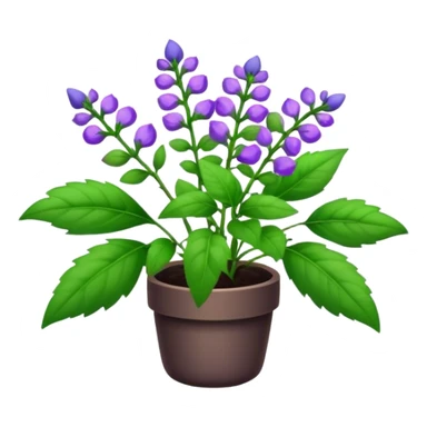 Skullcap plant  sticker