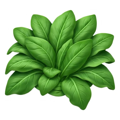 spinach  sticker