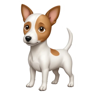 a full body white jack russel looking dog the size of a kelpie with light brown ears and a light brown patch on one eye, flopped down ears and a large snout sticker