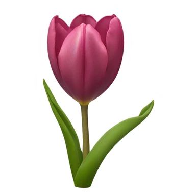 tulipan africano  sticker