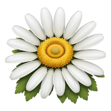 Daisy flower sticker
