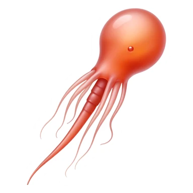 A single sperm cell, reproductive biology sticker
