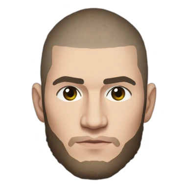 Ufc fighter khabib nurmagomedov Brazil  sticker