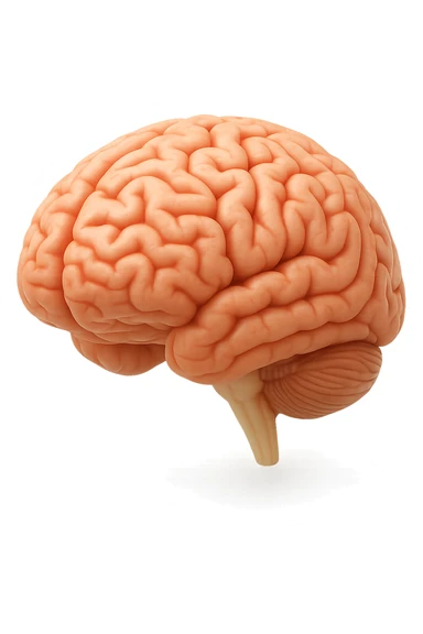 cervello umano 3d sticker