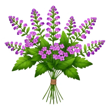 big bouquet Verbena, stem, leaf sticker