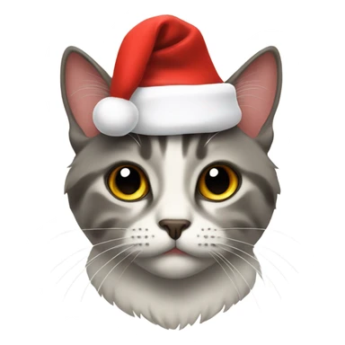 Cat with Santa hat sticker
