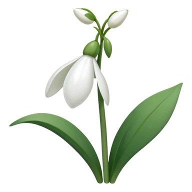 Snowdrop sticker