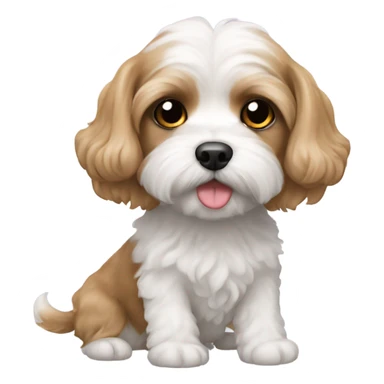 Cavachon  sticker