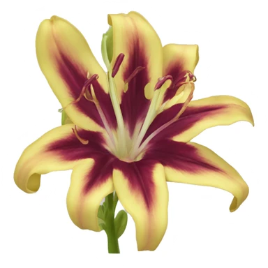Gloriosa sticker