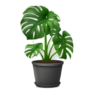monstera in pot sticker