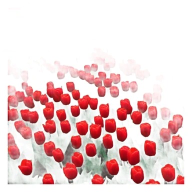 background composed of red tulips sticker