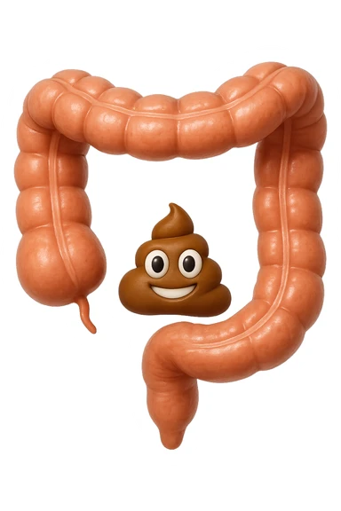 EMOJI STILE IPHONE DI UN TRATTO DI COLON INTESTINALE CHE FLUTTUA IN ARIA CON ALL'INTERNO DELLE FECI, IPERREALISTICO 4K sticker