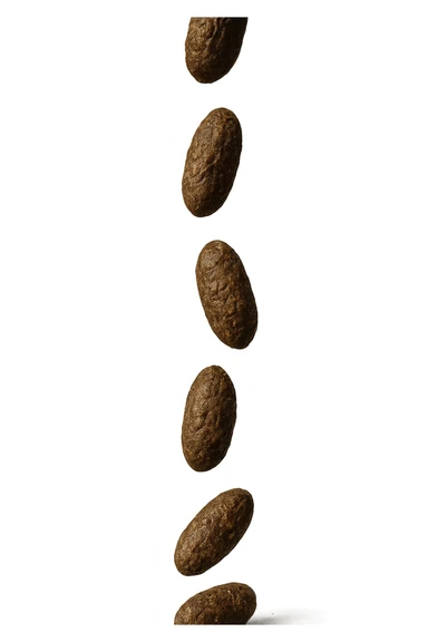 FECI DI ANIMALE A PALLINE UN PO' ALLUNGATE CADONO DALL'ALTO VERTICALMENTE, IPERREALISTICO 4K sticker