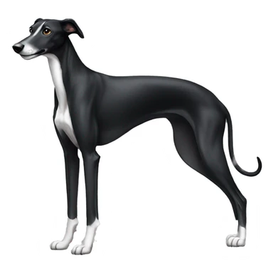 sitting down black greyhound sticker