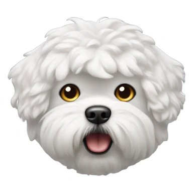 An angry looking bichon face sticker