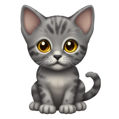 grey dilute tortoiseshell kitten with gold eyes sticker