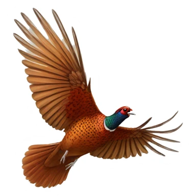 pheasant flying sticker