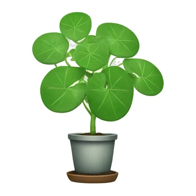 Chinese Money plant sticker