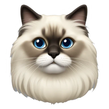 a himalayan birman cat sticker
