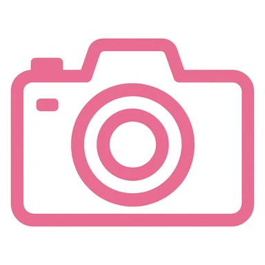 pink camera icon sticker