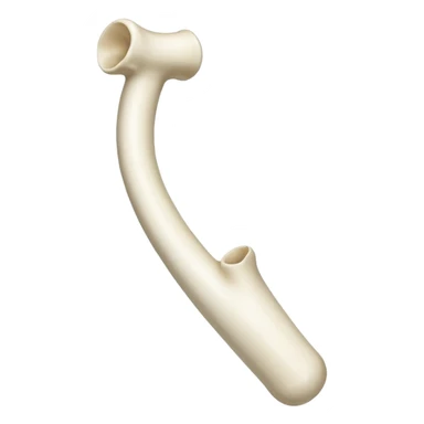 singular long bone sticker