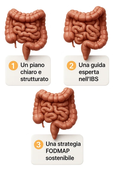 emoji stile iphone di 3 targhette numerate con intestino realistico davanti ad ogni targhetta, le targhette sono:
"1 – Un piano chiaro e strutturato
2 – Una guida esperta nell’IBS
3 – Una strategia FODMAP sostenibile"
, iperrealistico 4k sticker